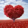 Profile Picture of Jerry Calvin (@jerry.calvin5) on Tiktok