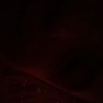 Profile Picture of Dustin Redden (@dustin.redden.779) on Instagram