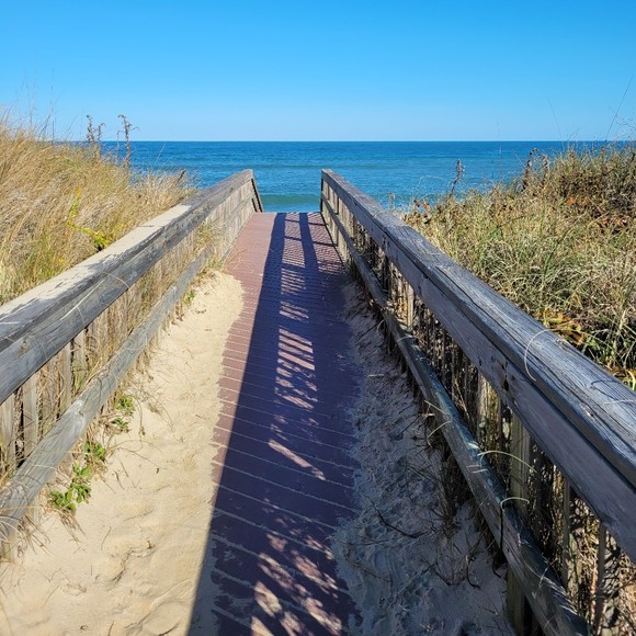 Profile Picture of Vanessa Hunsberger (@vanessahunsberg) on Poshmark