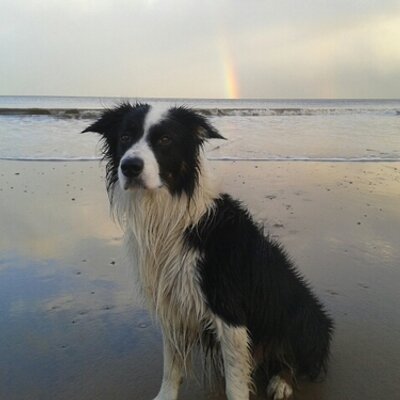 Profile Picture of Steven R Pinder (@racingdaft) on Twitter