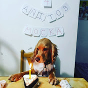 Profile Picture of Anabelle Perez Zevallos (@anabelleperezzevallos8116) on Youtube