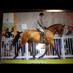 Profile Picture of Matthew Dickenson (@MDEquestrian1) on Twitter