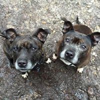 Profile Picture of Michael Humphris (@michael-humphris-2) on Quora