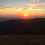 Mia Di Giovanni - Instagram Profile Picture of Mia Di Giovanni (@miadigio_97) on Instagram