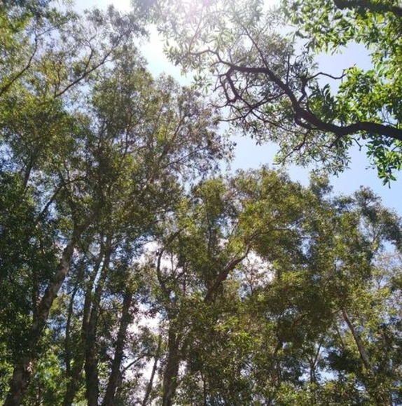 Profile Picture of Daniel Fung (@danielmk888) on Poshmark