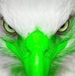 Profile Picture of Eugene Foster (@eugene.foster.545) on Facebook