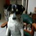 Profile Picture of Ronald Broad (@ronald.broad.79) on Facebook