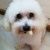 Profile Picture of Alison Chew (@alisonchew1) on Pinterest