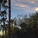 Profile Picture of Stephen Legge (@stephen_legge) on Instagram