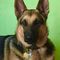 Profile Picture of Laurie Davis (@laurie.davis.739) on Facebook