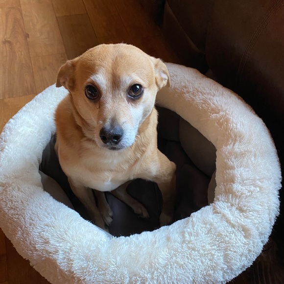 Profile Picture of Gary Olivarez (@flatpaw) on Poshmark