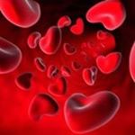 Profile Picture of Hemepar Medula Óssea (@hemeparmedulaossea) on Instagram