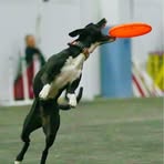 Profile Picture of Jeremy Waltzer (@jeremy.waltzer.1) on Facebook