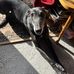 Profile Picture of Steve Hallett (@steve.hallett.7330) on Facebook
