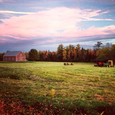 Profile Picture of David Sacks (@DaviD_Sacks86) on Twitter