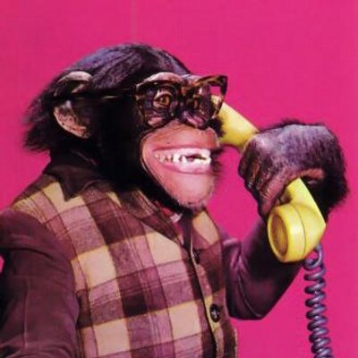 Profile Picture of Joe Fruzyna (@JoeFruzyna) on Twitter