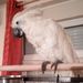 Profile Picture of daniel degreef (@degreefdaniel500) on Pinterest