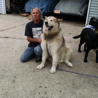 Profile Picture of Daniel Zandstra (@daniel.zandstra.1) on Facebook