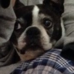 Profile Picture of Nelsons Fan Page (@nelsonrileyheatherton) on Instagram