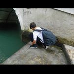 Profile Picture of David Peruch (@peruchdavid) on Instagram