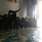 Alex Bizer - Facebook Profile Picture of Alex Bizer (@Alex-Bizer) on Facebook