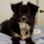 Profile Picture of Suzanne Gubbins Schaefer (@suzanne.g.schaefer) on Instagram