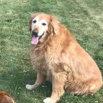 Profile Picture of Jason Scimeca (@aubnjay) on Instagram