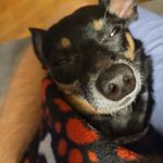 Profile Picture of Randy Hatcher (@dadawg1977) on Instagram