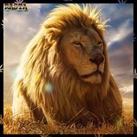 Profile Picture of Serena Beck Guevarra (@serena-beck-guevarra) on Quora