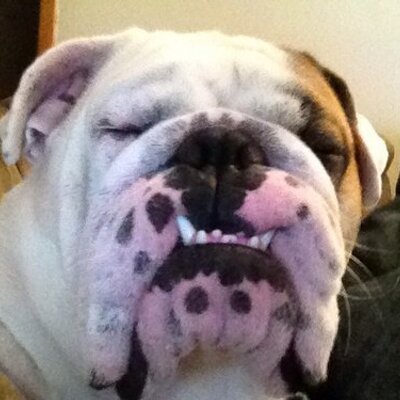 Profile Picture of Glenn Bartlett (@glennbartlett99) on Twitter