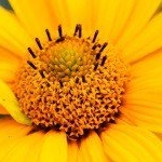 Profile Picture of Phedra (@phedrapennith4) on Instagram