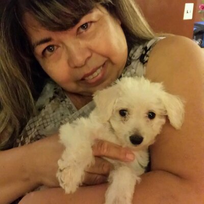 Profile Picture of Regina Pollack (@blusalonga) on Twitter