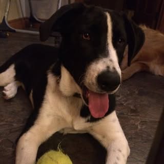 Profile Picture of Andre (@andre_cloutier) on Instagram