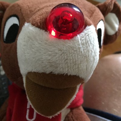 Profile Picture of Lee Goad (@leegoad3) on Twitter