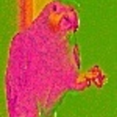 Profile Picture of Sue StClair (@dufzor) on Twitter