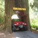 Profile Picture of Troy Hendrickson (@hendrickson0460) on Pinterest