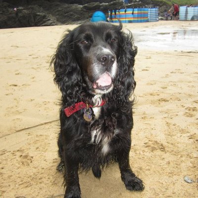 Profile Picture of David Layland (@layland_david) on Twitter