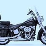 Profile Picture of David Gokey (@gdogbone328) on Instagram