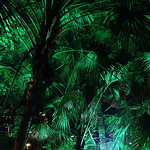 Profile Picture of Ulrike Schwickerath (@ulli*) on Flickr