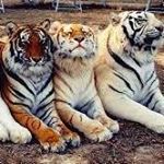 Brian Eliel - Instagram Profile Picture of Brian Eliel (@brian_eliel_ad) on Instagram