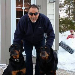 Profile Picture of williamhally8 (@williamhally8) on Tiktok