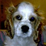 Mandy Forbis - Instagram Profile Picture of Mandy Forbis (@mandyforbis) on Instagram