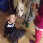 Profile Picture of Owen Biddles (@biddz123) on Instagram