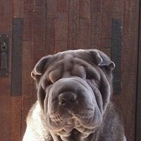 Profile Picture of Allen Mesick (@allen-mesick) on Quora