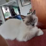 Profile Picture of Alexander Gilbertson (@alexander.gilbertson.73) on Facebook