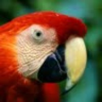 Profile Picture of Peter Neilson (@peter-neilson-2) on Quora