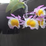 Profile Picture of David Boile (@David-Boile) on Facebook