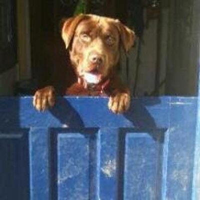 Profile Picture of Zita Cindy Tindall (@corndolly61) on Twitter