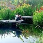 Profile Picture of   Alexander Quezada... (@user62314599) on Tiktok