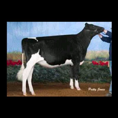 Profile Picture of Ty Yates (@tyleafsnPats) on Twitter